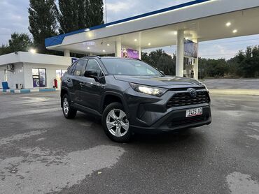 суротор: Toyota RAV4: 2019 г., 2.5 л, Вариатор, Гибрид, Кроссовер