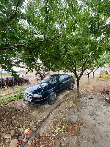 Opel: Opel : 1994 г., 1.8 л, Механика, Бензин, Седан — 3