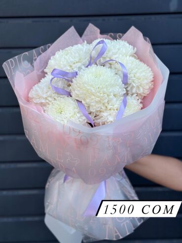 кант мис: 💕Хит сезона от DIARO flowers 💕 Белоснежные хризантемы — стиль