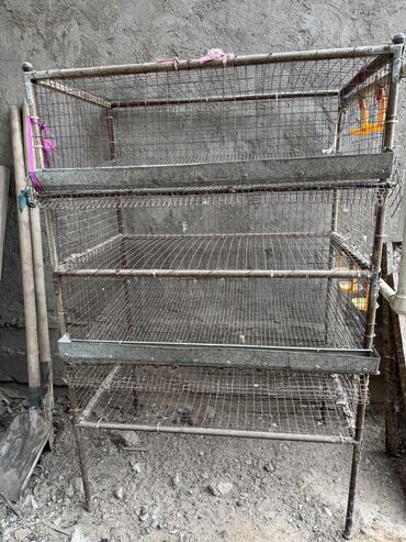 Товары и оборудование для с/х животных: Продается клетка для перепел — 6