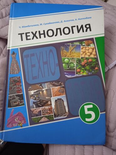 кел кел: КНИГА ПО ТЕХНОЛОГИИ ЗА 5 класс, в очень хорошем состояний АВТОРЫ