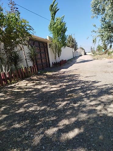 sibriz: Bakı, Pirşağı qəs., 45 kv. m, 1 otaqlı, Hovuzsuz, İnternet — 1