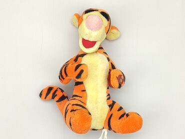 shein zwroty stroje kąpielowe: Mascot Tiger, condition - Very good