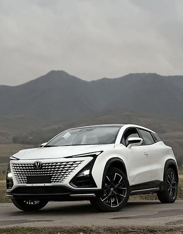 Changan: Changan Uni-T: 2025 г. — 12