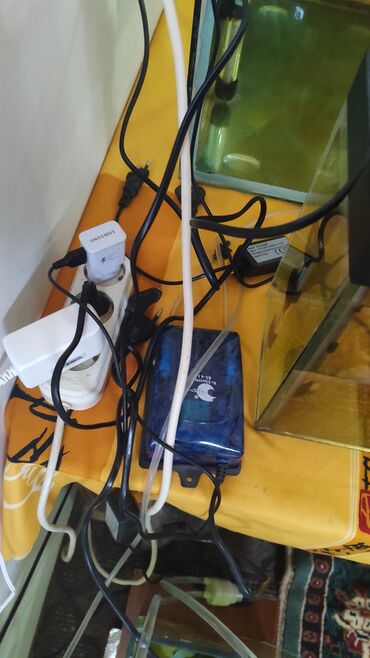 Akvariumlar: Dördbucaq akvarium, Balıqlarla birlikdə, 120 l, Ünvandan götürmə, Ödənişli çatdırılma, Rayonlara çatdırılma -da lalafo.az — 12 Akvariumlar: Dördbucaq akvarium, Balıqlarla birlikdə, 120 l, Ünvandan götürmə, Ödənişli çatdırılma, Rayonlara çatdırılma — 12