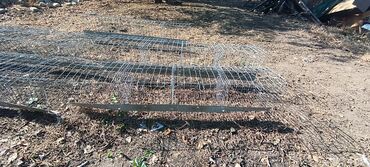 куры петухи: Башка торлор