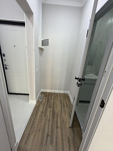 квартиры в районе аламединского рынка: 1 комната, 39 м², ул. Горького / Алматинка Элитка, 7 этаж, Свежий ремонт — 5