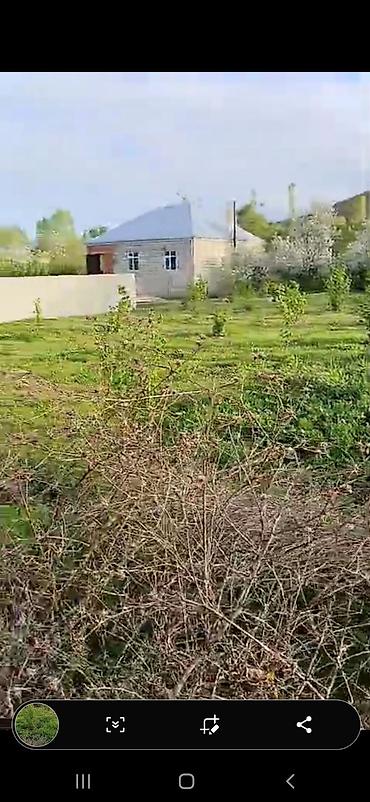 topaq: 14 sot, Tikinti, Mülkiyyətçi, Kupça (Çıxarış) — 5