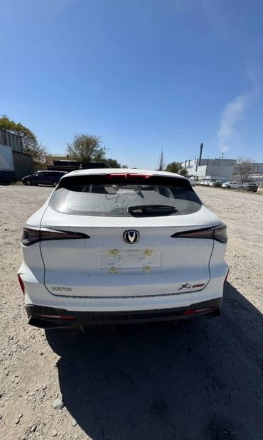компрессионные гольфы: Changan : 2024 г., 1.5 л, Автомат, Бензин, Кроссовер