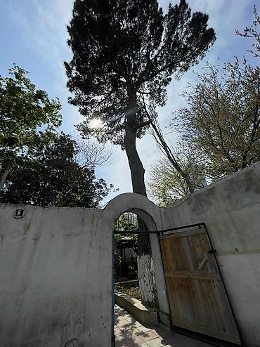 Bağ evlərinin kirayəsi: Keşlə qəs., 500 kv. m, 10 otaq, Hovuzlu, Kanalizasiya, Qaz, Su — 24