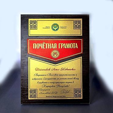 Значки, ордена и медали: Плакетки как наградная атрибутика представляет собой особый статус — 1