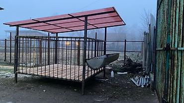 Товары и оборудование для с/х животных: Койкана койго жана козуга ылайыкташкан краскасын кылып берем 8 баш — 4