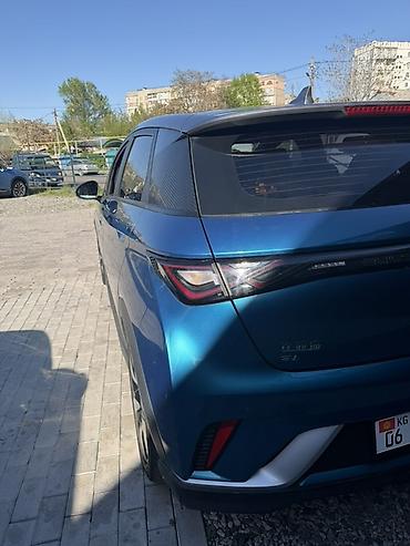 BYD: BYD Dolphin: 2021 г., Электромобиль, Хэтчбэк — 3