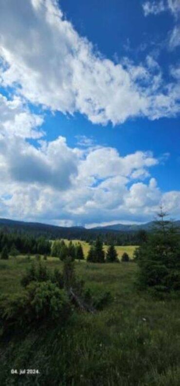 Prodaja zemljišta: Na prodaju 2 placa na Tari,naselje Sekulic. Jedan plac je 8.5ari,drugi