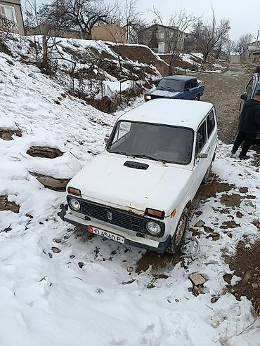 ВАЗ (ЛАДА): ВАЗ (ЛАДА) 4x4 Нива: 1994 г., 1.7 л, Механика, Бензин, Внедорожник — 11