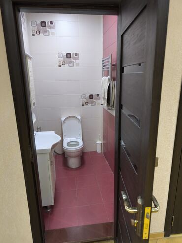 Uzunmüddətli kirayə mənzillər: Geniş və işıqlı mənzil Satilir - Planlama: geniş dəhliz, böyük yataq — 13