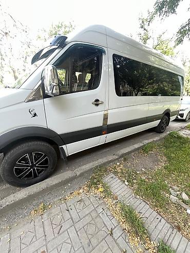 кадамжой: Баруучу жер: Чаек, Орундардын саны: 19, Лицензия №: 08В006490 — 4