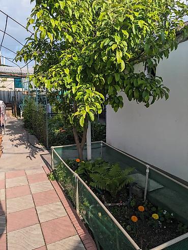 Продажа коттеджей и домов: Продается дом! Материал: кирпич Год постройки: 1976 Кол-во комнат: 5 — 21