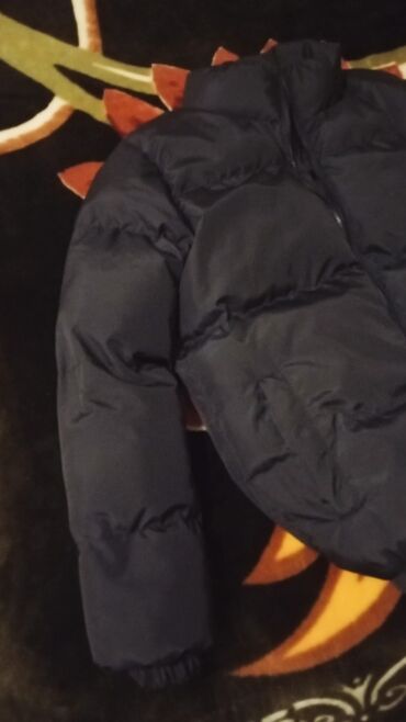 Kurtkalar: Kurtka, Bolonka, Qış, Lacoste, S — 5