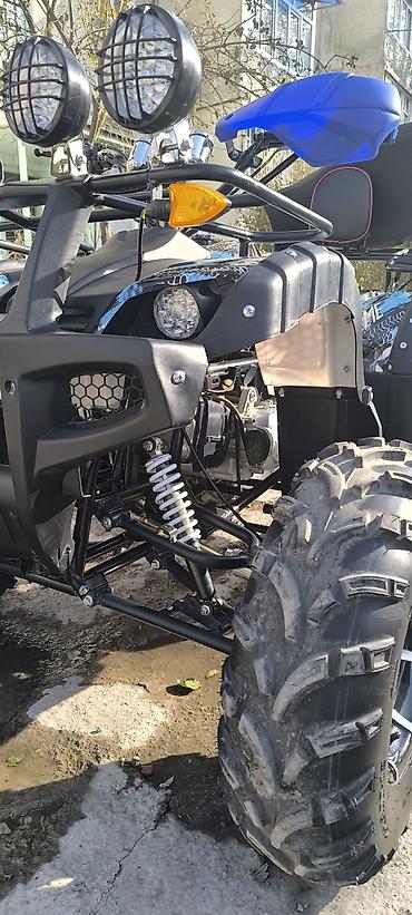 Квадроциклы: Квадроцикл ATV (двухместный), внедорожный. Основные характеристики и — 7