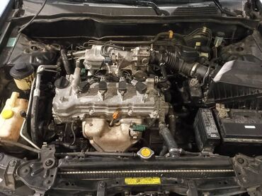Nissan: Nissan Almera: 1.5 l. | 2004 έ. Κουπέ — 10