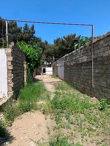 bulbule qesebesi: 5 sot, Tikinti, Makler, Kupça (Çıxarış) — 4