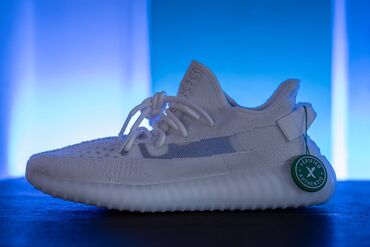 patike adidas broj: Adidas Yeezy 350 V2 Bone HQ6316 Broj 44 US10 Kupljene preko StockX-a