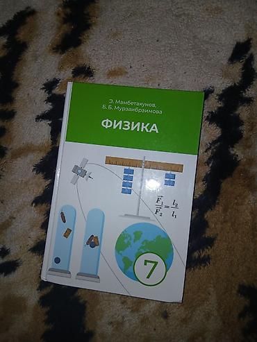 биог: Новые, почти не поношенные школьные учебники по физике и литературе — 1