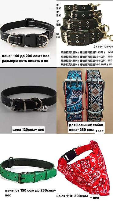 Зоотовары: Одежда, переноски и игрушки для домашних животных Ассортимент: - — 13