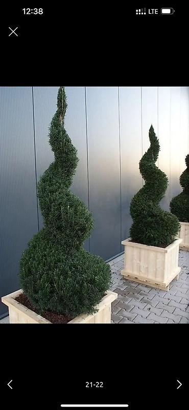 Дворники, садовники: 🌱Я Садовник Генеральный уборка сада Сеем газон под ключ Посев газон — 12