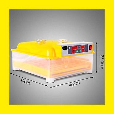 Инкубаторы: Мини Инкубаторлор Сатылат Ошго Доставка БишкекРоссия Инкубаторлор — 10