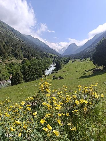 ысык кол: Taxi Tours in Kyrgyzstan Djeep Toyota Seguoia Такси Трансфер — 6