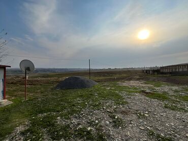 Torpaq sahələrinin satışı: Kənd təsərrüfatı — 28