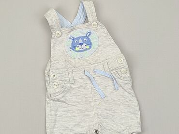 Trousers and Leggings: Dungarees, F&F, 0-3 months, condition - Very good