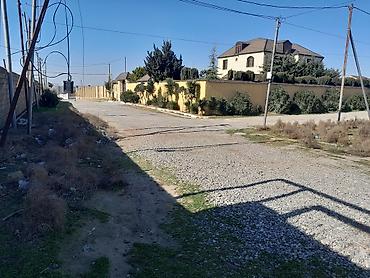 Torpaq sahələrinin satışı: Kənd təsərrüfatı — 1