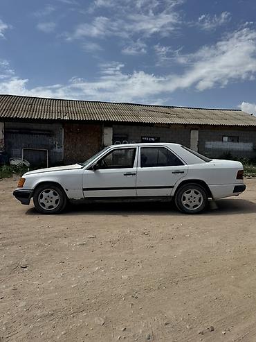 ск шерой: Mercedes-Benz E-Class: 1988 г., 3 л, Механика, Дизель, Седан — 4