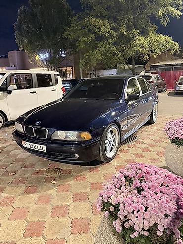 bmw e37: BMW 525: 2003 г., 2.5 л, Механика, Бензин, Седан — 1