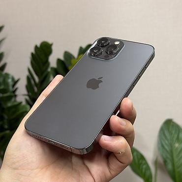 Apple iPhone: IPhone 13 Pro Max, Б/у, 256 ГБ, Space Gray, Чехол, 90 % — 11