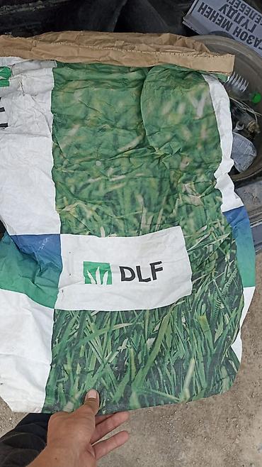 биндеры 200 листов для дома: Семена газонных трав DLF 1мешок - Бренд: DLF (международный — 1