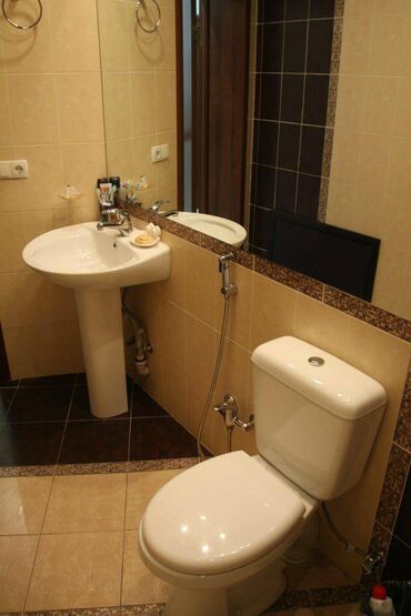 Долгосрочная аренда домов: 240 м², 5 комнат — 17