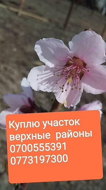 Строительство под ключ: Офисы, Дома, Кухни Больше 6 лет опыта — 23