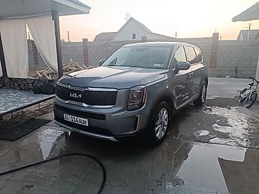 солид: Kia Telluride: 2019 г., Автомат, Бензин, Кроссовер — 4