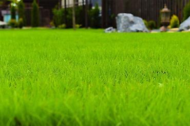 Дворники, садовники: 🌱Я садовник сеем газон с нуля посев газон садовник выезд — 10