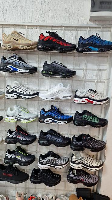 Patike: Nike air max tn patike NOVO Novo Brojevi 36 do 46 fb Moja Kupovina na lalafo.rs — 14 Patike: Nike air max tn patike NOVO Novo Brojevi 36 do 46 fb Moja Kupovina — 14