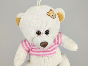 Mascot Teddy bear, condition - Very good