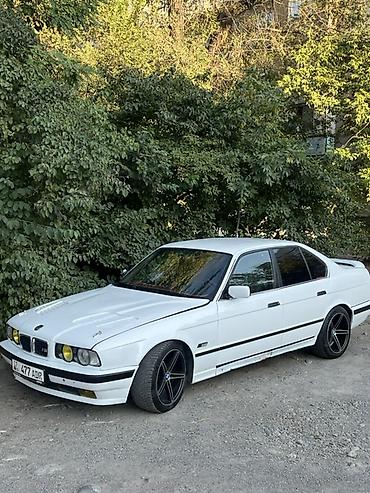 ноздри бмв: BMW 5 series: 1991 г., 2 л, Механика, Седан — 1