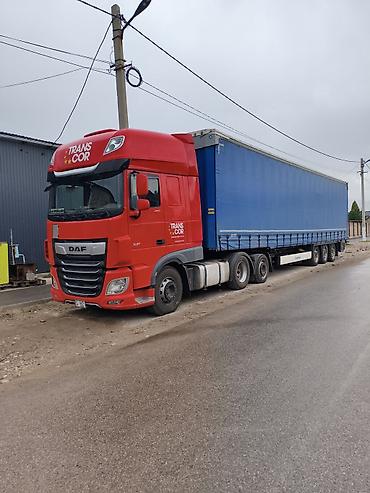 daf xf: Тягач, DAF, 2020 г., Тентованный — 1