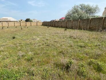 снять квартиру в кусарах: 8 sot, Tikinti, Mülkiyyətçi, Kupça (Çıxarış)
