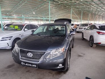 ош лексус: Lexus RX: 2009 г., 3.5 л, Автомат, Бензин, Кроссовер