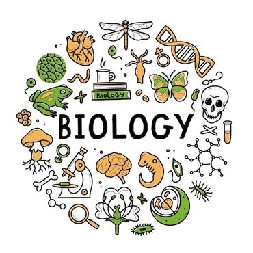 Repetitorlar: Repetitor, Biologiya, Rus dili, İmtahanlara hazırlıq